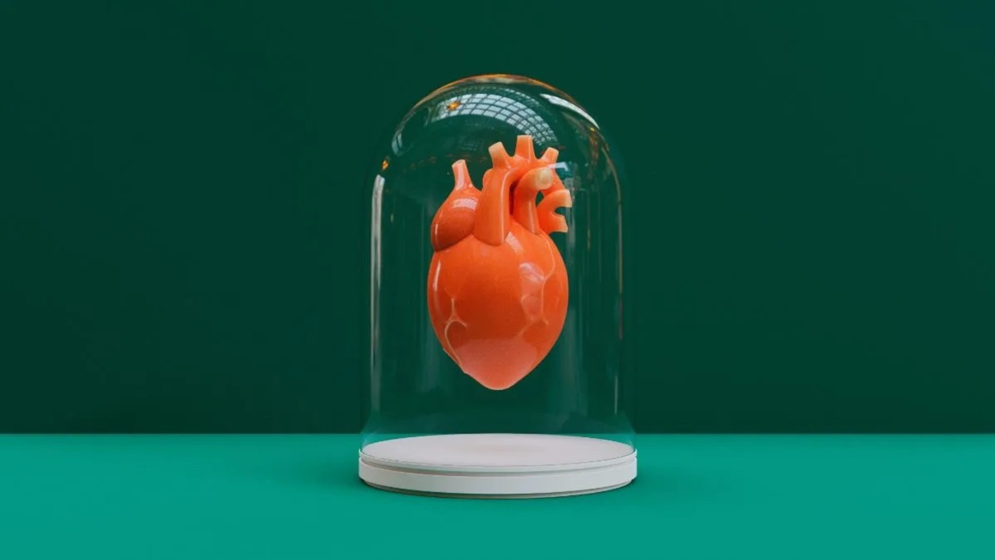 Laboratorul a creat centrul de ritm al inimii: O alternativă la stimulatoarele cardiace